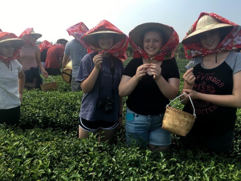 澳洲學生品味茶鄉文化